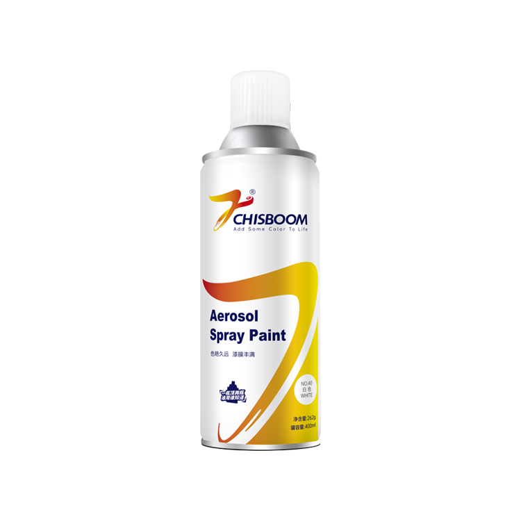 Vernice aerosol spray